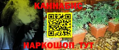 Альфа ПВП Ливны