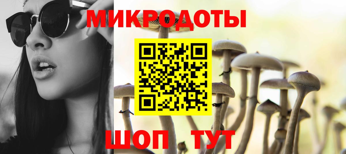Галлюциногенные грибы мухоморы  Вход с VPN  Гатчина  где купить наркоту  Галлюциногенные грибы Cubensis 